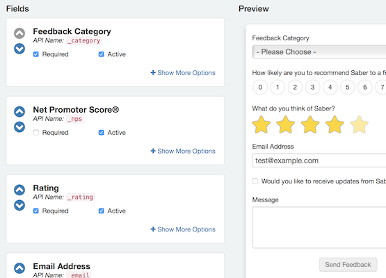 example of Saber Feedback form logic